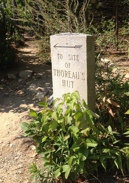 Thoreau sign pointing