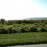 In beauty - beach 1