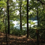 Thoreau lake from ridege h