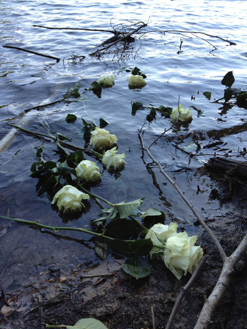 Thoreau roses in water v