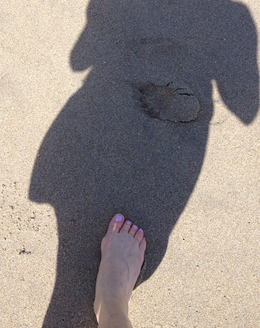 In beauty - sand feet