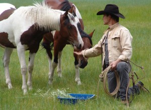 Our 2 wild mares I was happy to see these 2 girls again the last time I was in New Mexico.